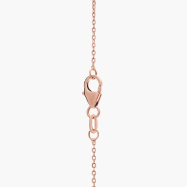 Carave Paris Delicate Rolo Chain Necklace