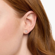 Asscher Cut Diamond Solitaire Stud Earrings in Yellow Gold