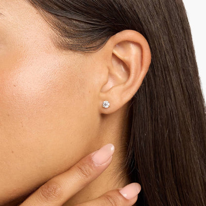 Carave Paris Signature Round Solitaire Stud Earrings