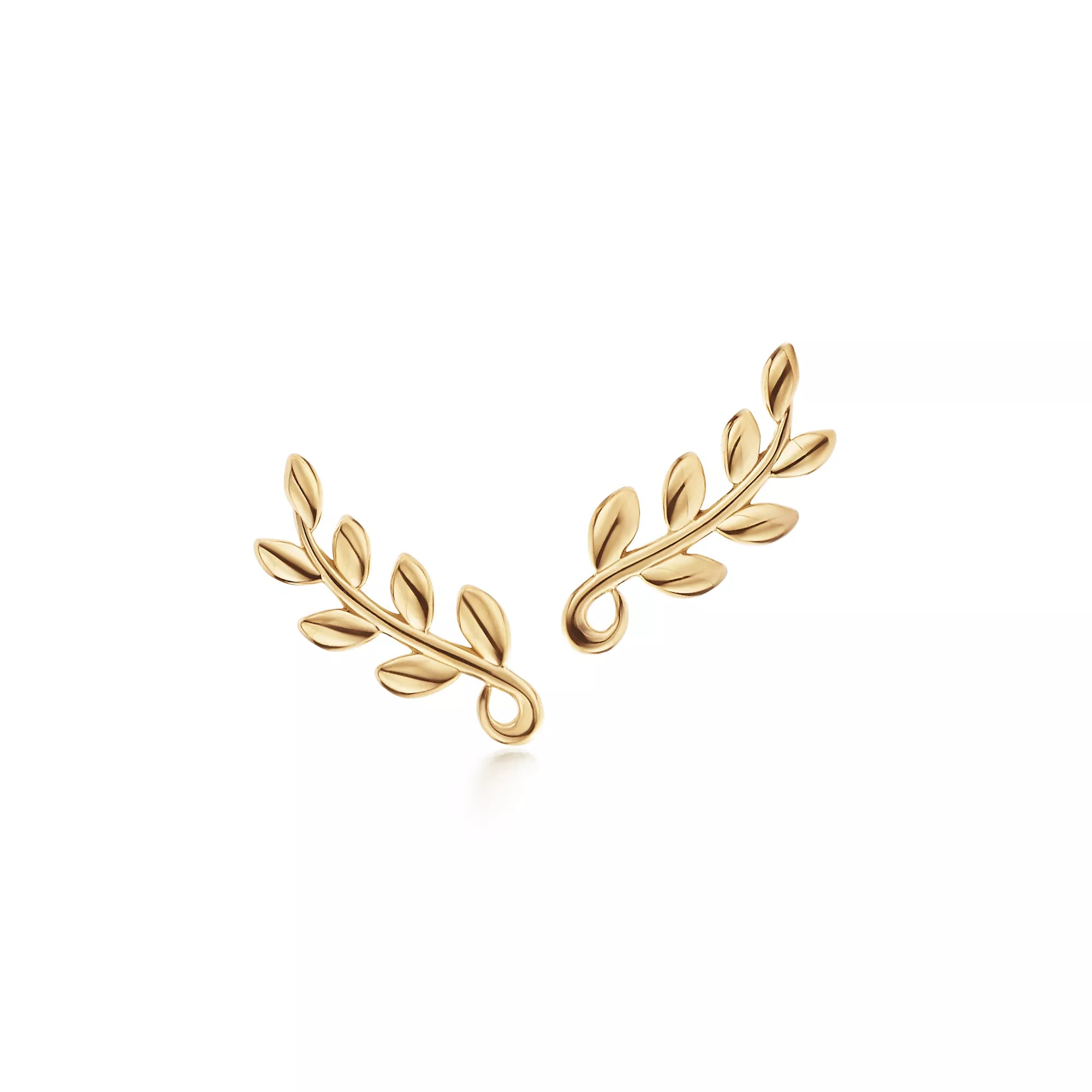 Carave Paris Botanical Leaf Climber Stud Earring