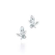 Carave Paris Botanical Swirl Leaf Stud Earrings