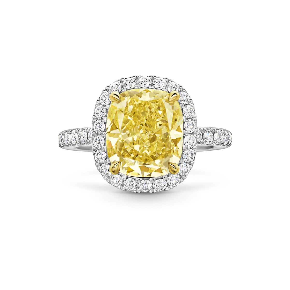 Carave Paris Cushion Cut Yellow Diamond Halo Ring