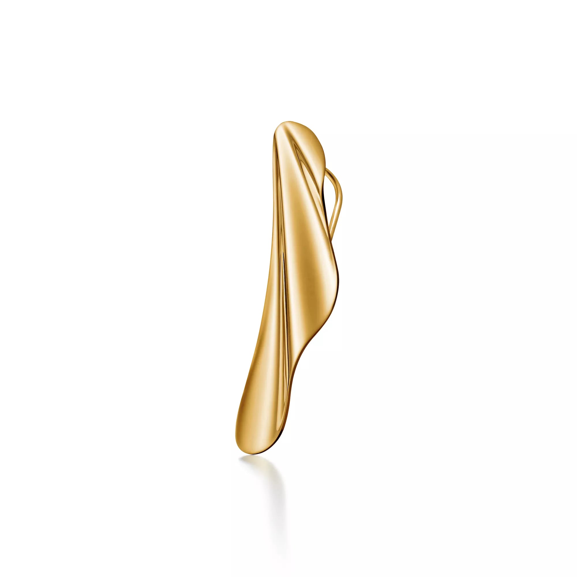 carave-paris-fluid-wave-sculptural-earrings_2_0655c321-889f-44d7-b548-afaee2243858.webp