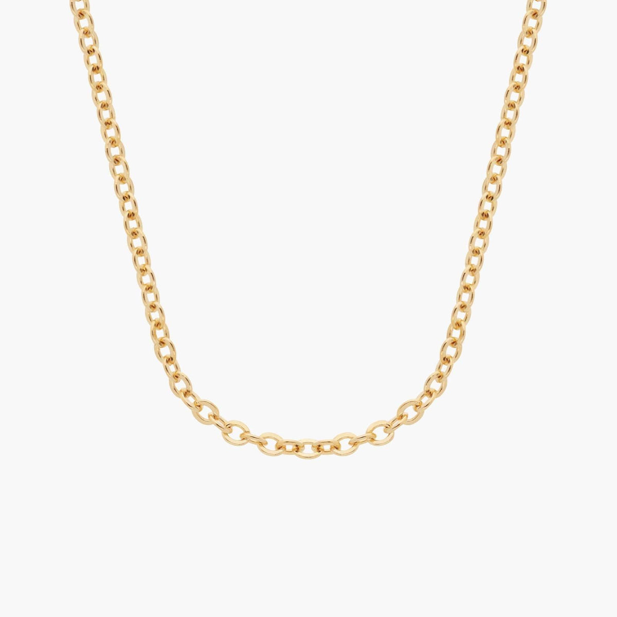 Carave Paris Bold Link Chain Necklace