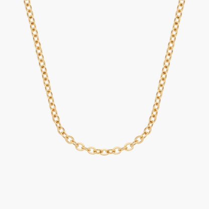 Carave Paris Bold Link Chain Necklace