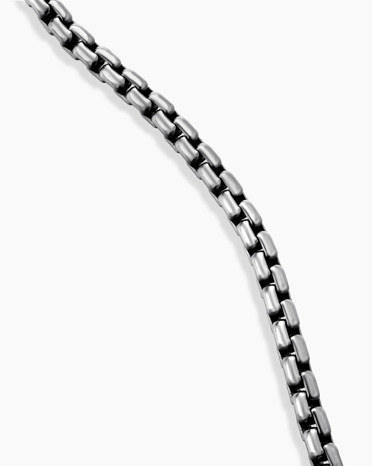 Carave Paris Delicate Cable Chain Necklace