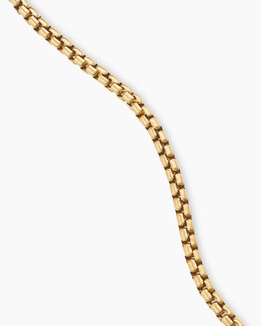 Carave Paris Classic Rope Chain Necklace