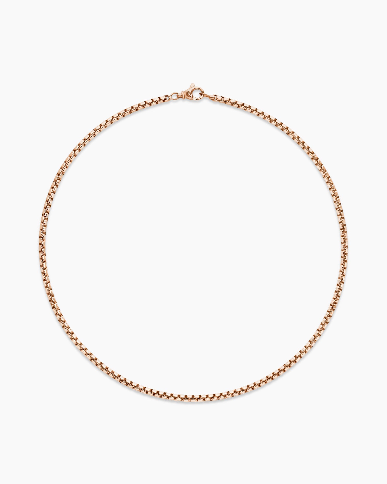 Carave Paris Classic Box Chain Necklace