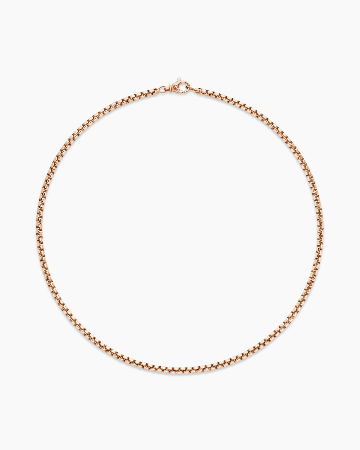 Carave Paris Classic Box Chain Necklace