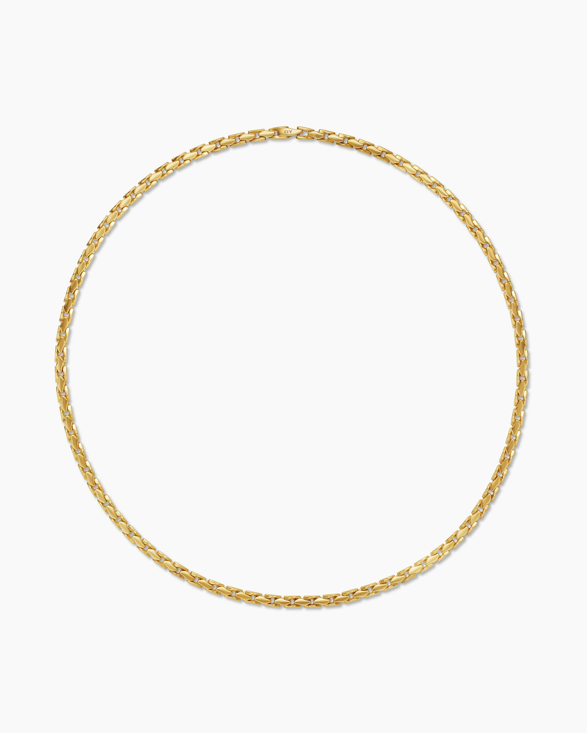 Carave Paris Byzantine Link Chain Necklace