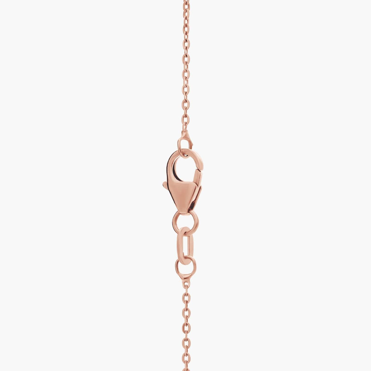 Carave Paris Delicate Rolo Chain Necklace