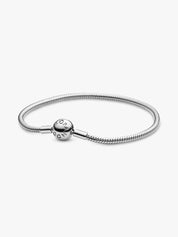 Sterling Silver Snake Chain Bracelet