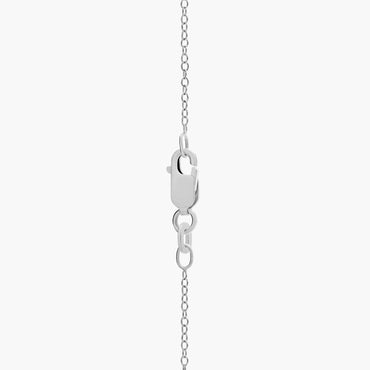 Carave Paris Classic Cable Chain Necklace