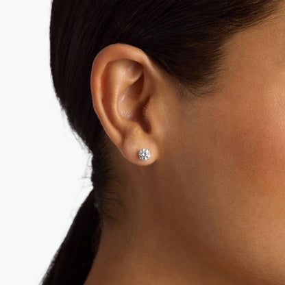 Carave Paris Classic Round Solitaire Stud Earrings